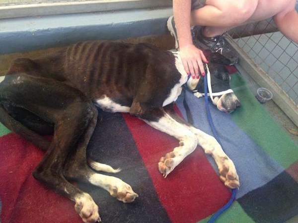 jez-rescued