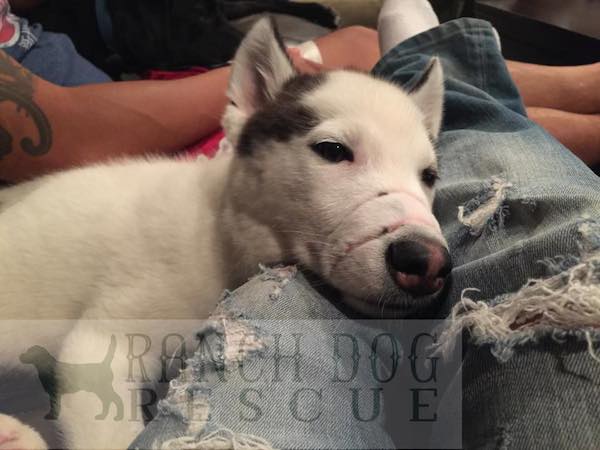 Kane is recovering