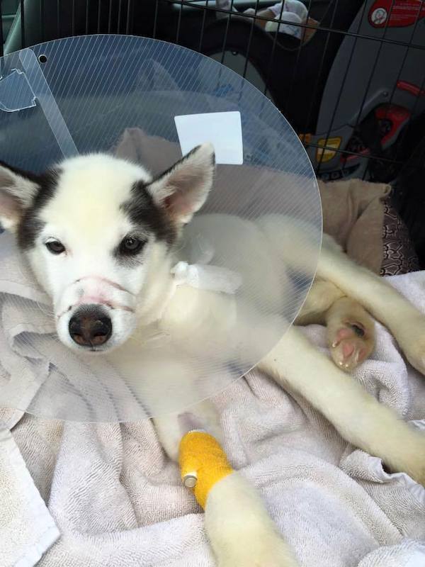 Kane has had surgery
