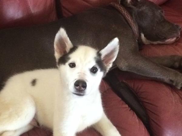 Kane is getting better after his surgery