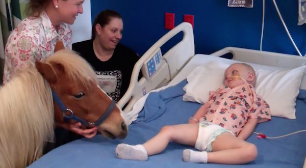 pony visits sick kid