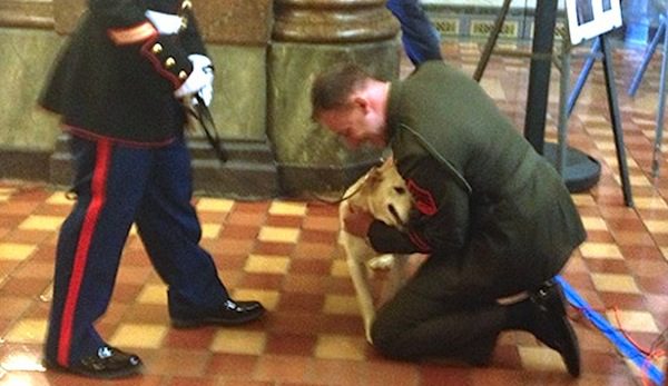 Marine Surprised When He Is Reunited With The Working Dog He Promised To Bring Home
