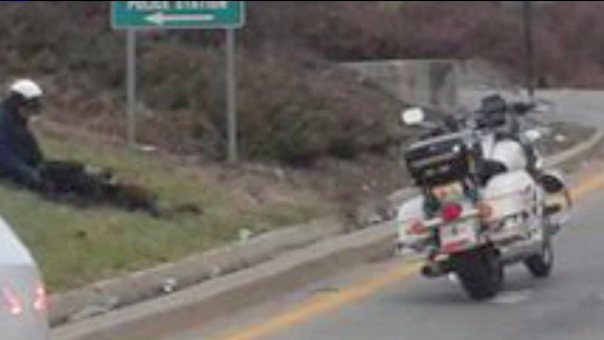 Awesome Police Officer Sits In The Cold With Lost Dogs Until Help Arrives