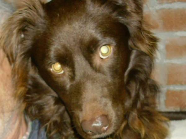 oliviero-now-5