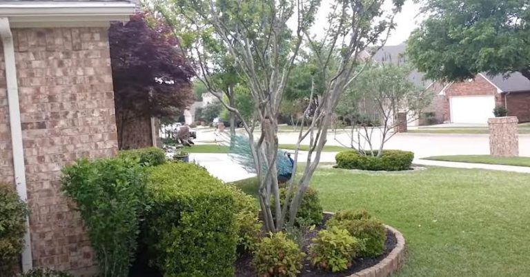 Kids Terrorized By Unusual Neighborhood Menace