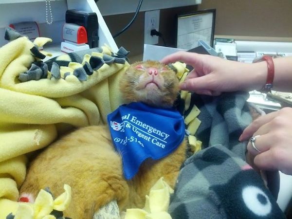 Russell getting tlc