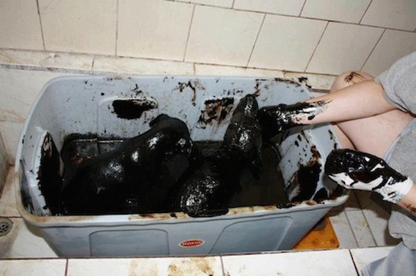 tar-cleaning