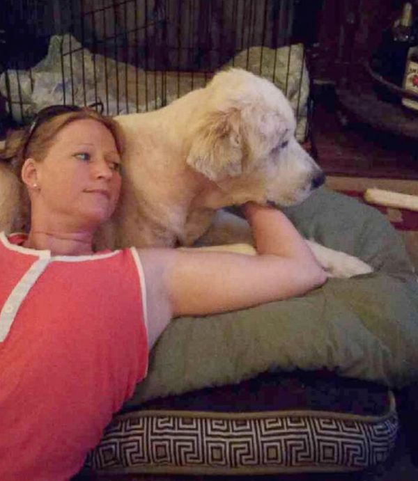 tornado-dog-3