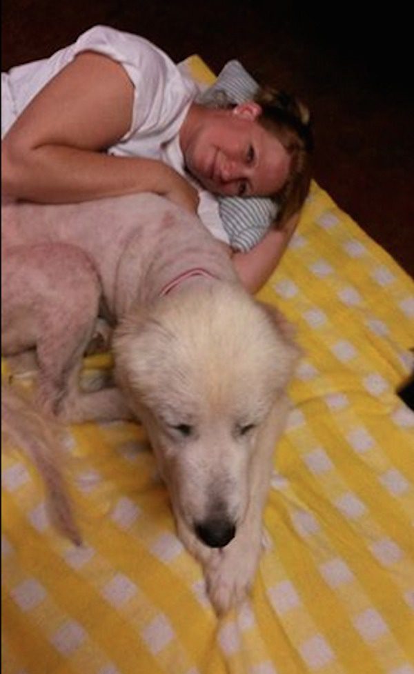 tornado-dog-4