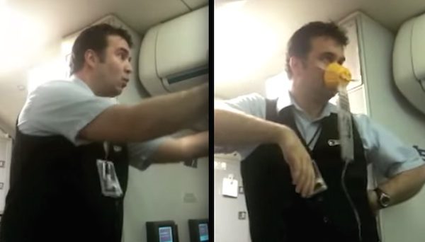 Westjet steward