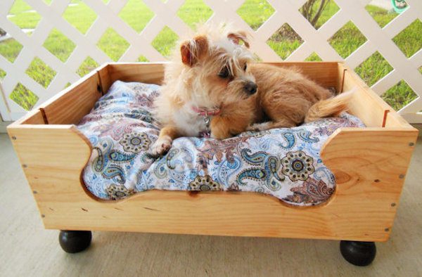 wooden-dog-bed