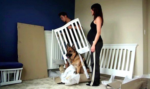 baby family time-lapse