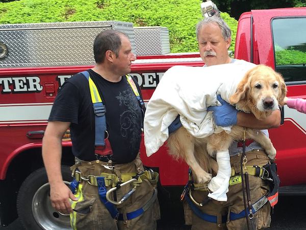 brewster-fire-dept