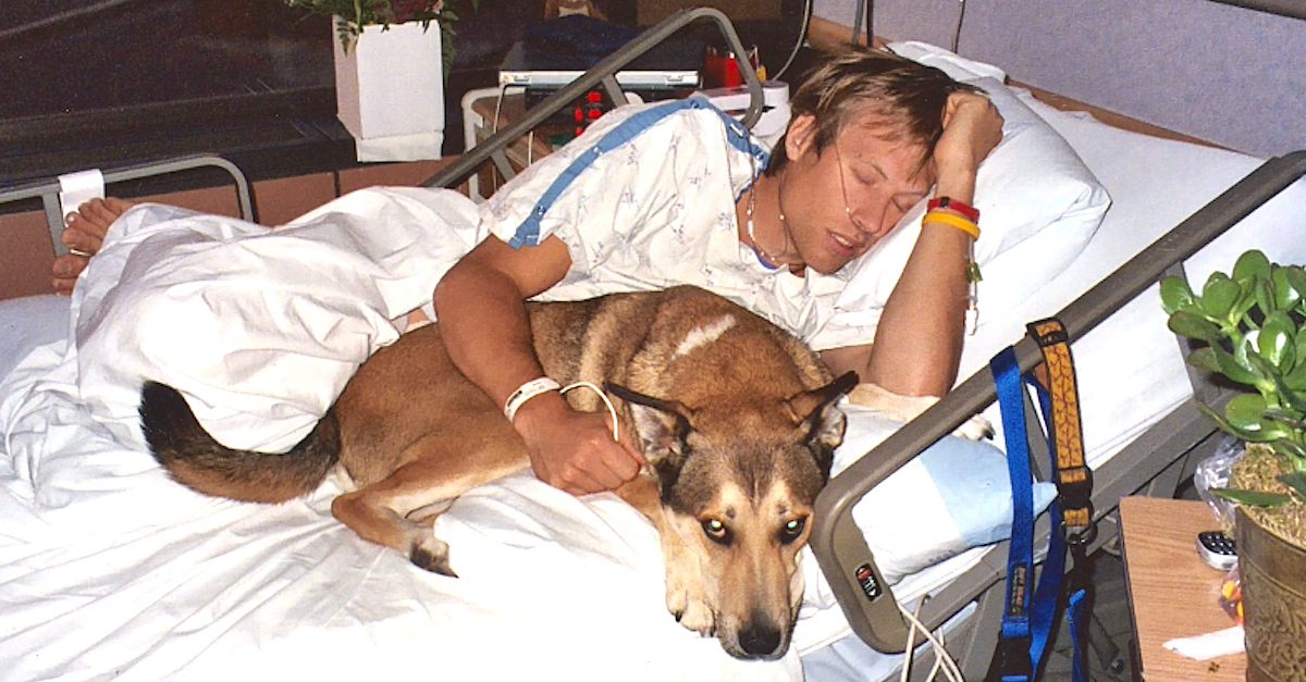 Man’s Beautiful Tribute To His Dog Is A Demonstration Of Pure Love