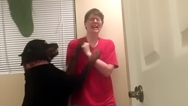 dog helps woman with Aspergers