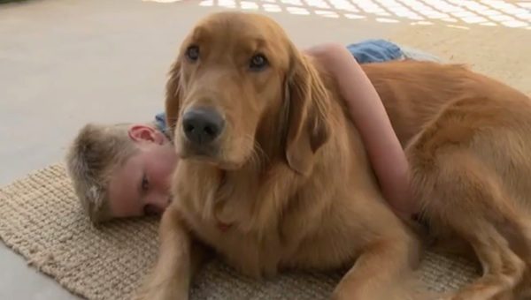 Ruby the service dog