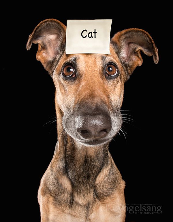 elke-vogelsang-12