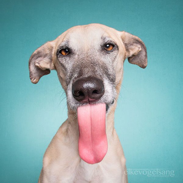 elke-vogelsang-4