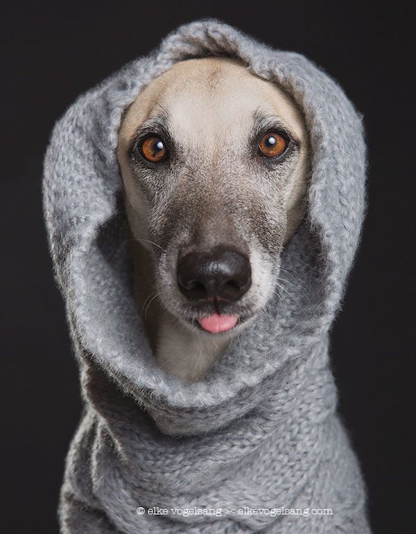 elke-vogelsang-6