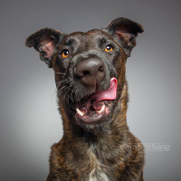 elke-vogelsang-9