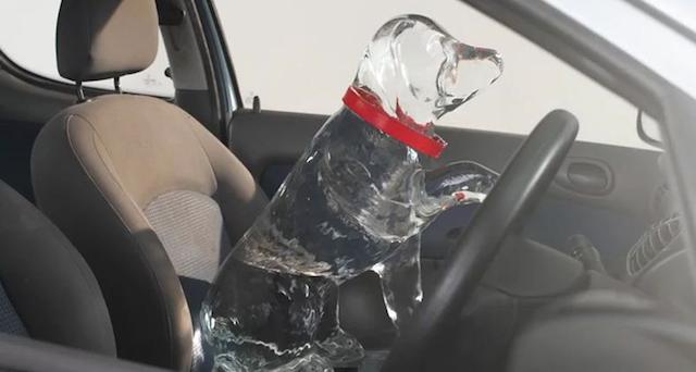 hot cars kill dogs