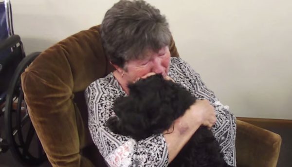 mom and lost dog reunited
