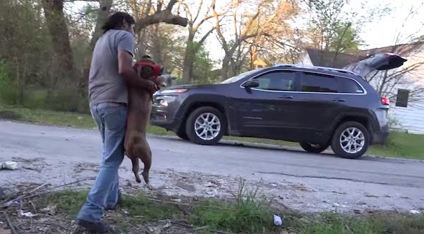 moma the dog is rescued