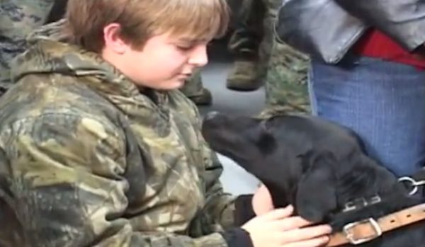 military dog adopted