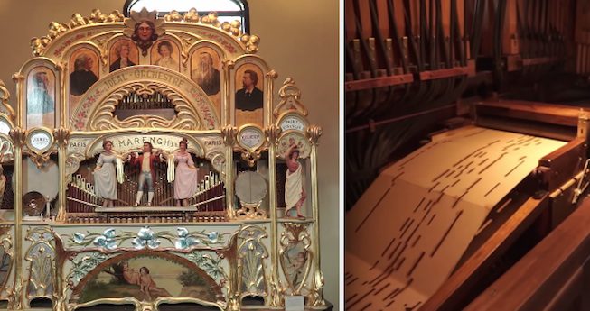 organ