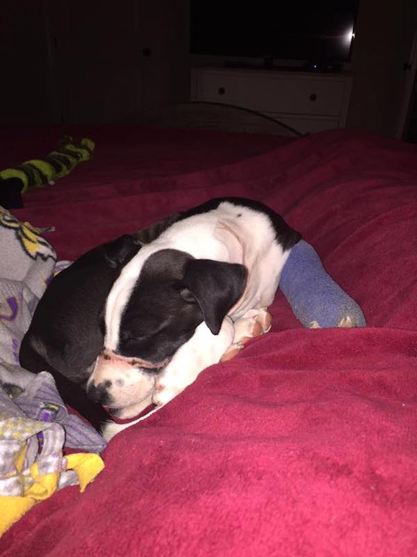 otis-1