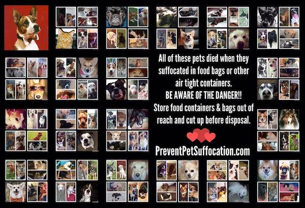 prevent-pet-suffocation-6