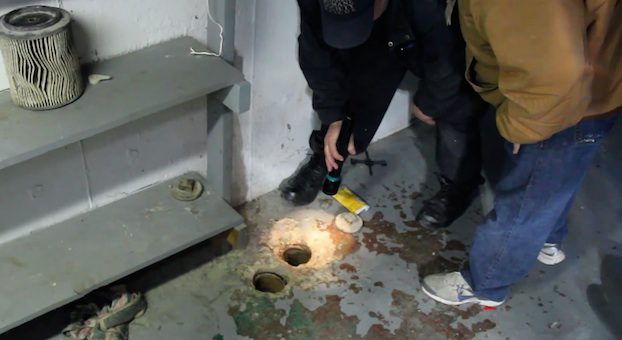 puppy saved from drain pipe