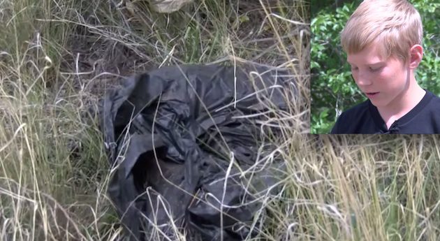 boy finds trash bag with puppies