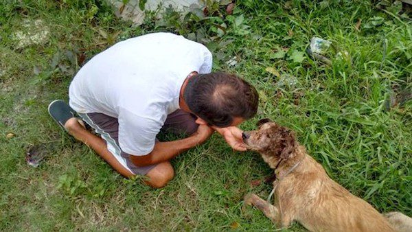 Man Finds Gravely Wounded Dog And Saves His Life