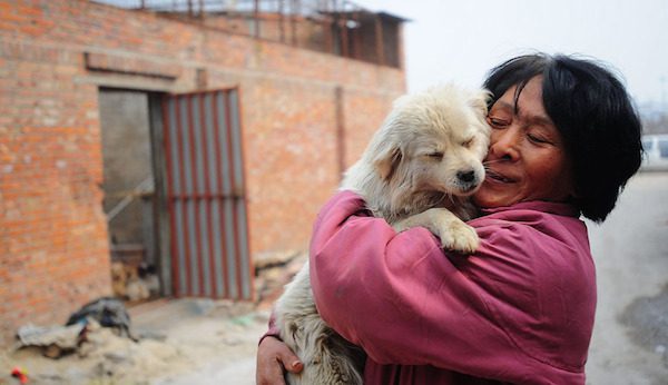 Woman Travels 1,652 Miles To Yulin Dog Meat Festival To Save As Many Dogs As She Can