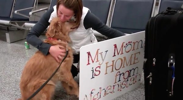 Dog Can’t Stop Crying With Joy When She Is Reunited With Her Soldier Mom