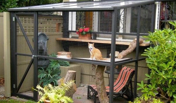 cat enclosure