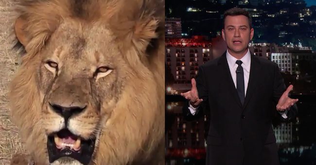jimmy kimmel talks cecil the lion