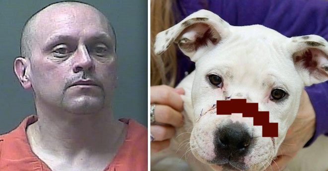Police Catch Fugitive Wanted In Puppy Abuse Case