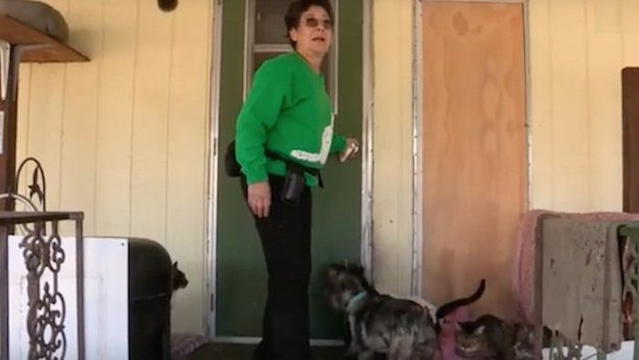 Ultimate ‘Crazy Cat Lady’ Shares Home With Over 1000 Cats, But For A Good Reason