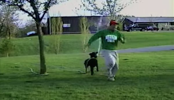 dog chases man with hose