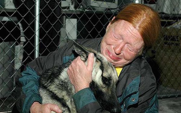 dog rescue