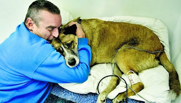 dog saved from fire
