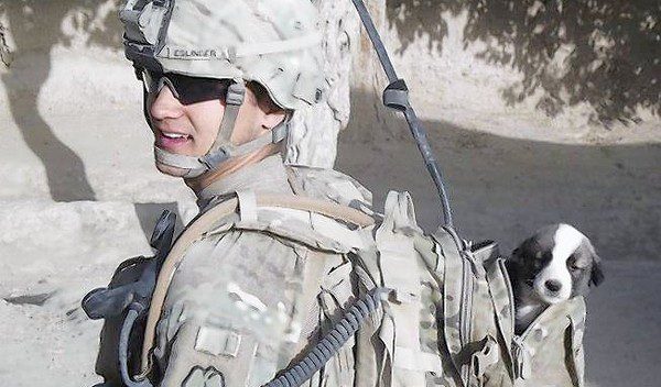 Young Soldier Injured In Afghanistan Reunites With Puppy He Rescued