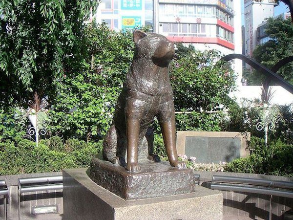 hachiko-statue-japan