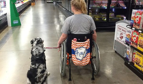 Teen With Epilepsy Warns Of Serious Consequences When Strangers Pet Service Dogs