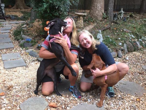 hugging-dogs-2