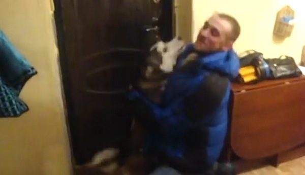 husky reunites with man
