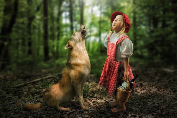 John Wilhelm photography