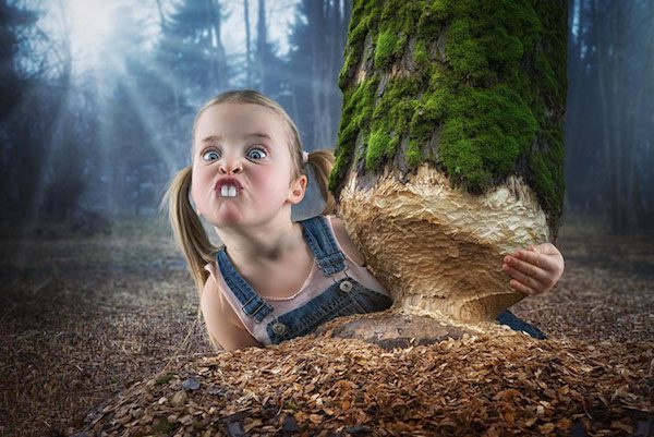 John Wilhelm photography